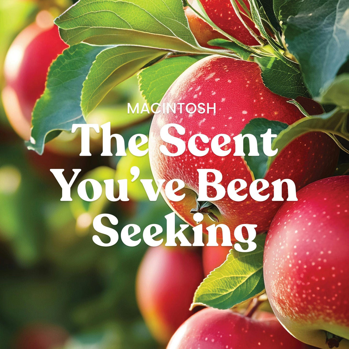 Macintosh